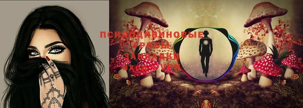 ешки Алексин