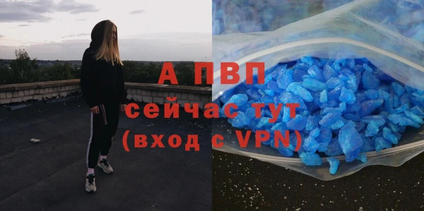 ешки Алексин