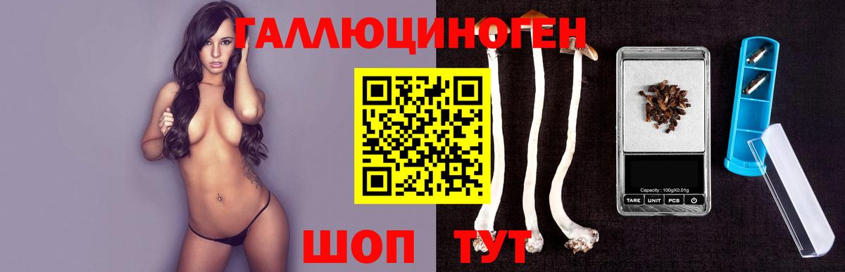Галлюциногенные грибы Psilocybine cubensis  Вход с VPN  Ревда  Псилоцибиновые грибы Psilocybine cubensis 